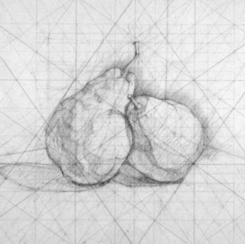 Pear-Drawing-1